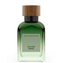 Vetiver Terra Vetiver Terra